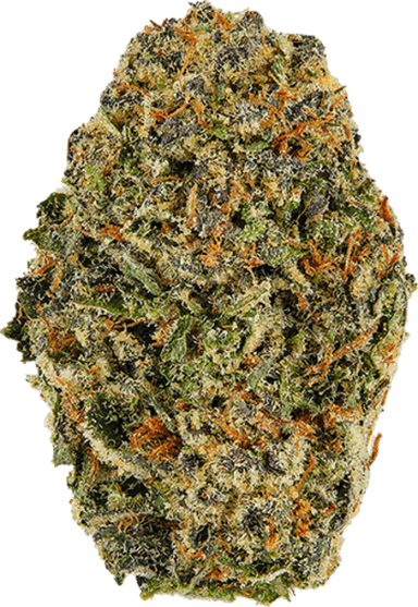 Blue Afghani