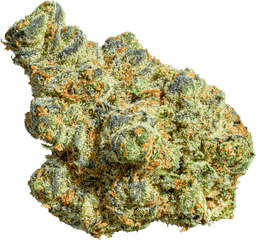 Animal Gas